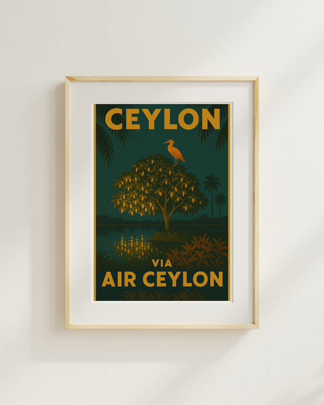 Air Ceylon Tree Night