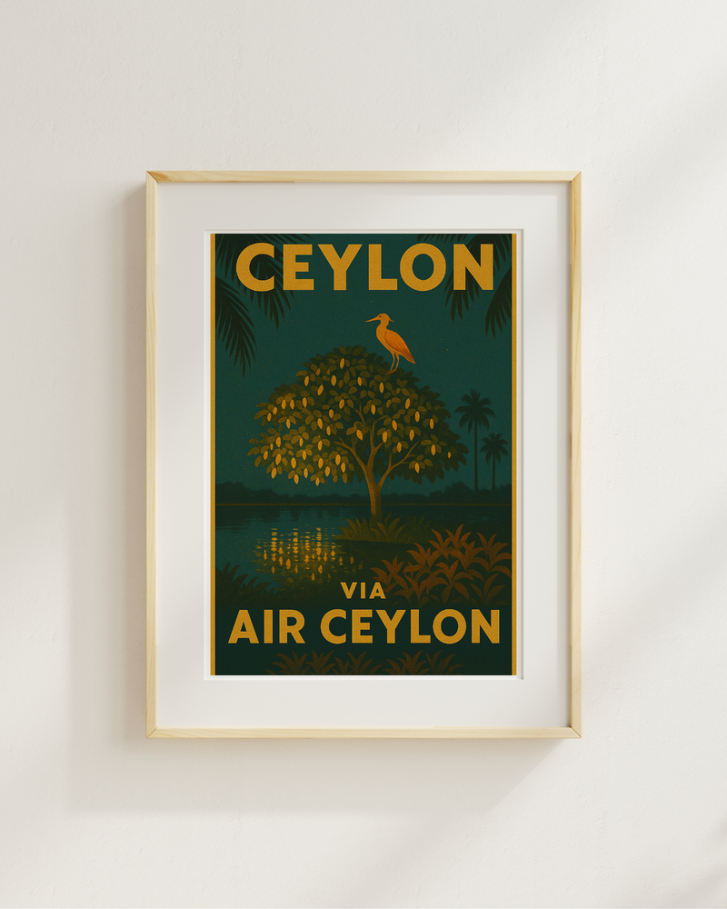 Air Ceylon Tree Night